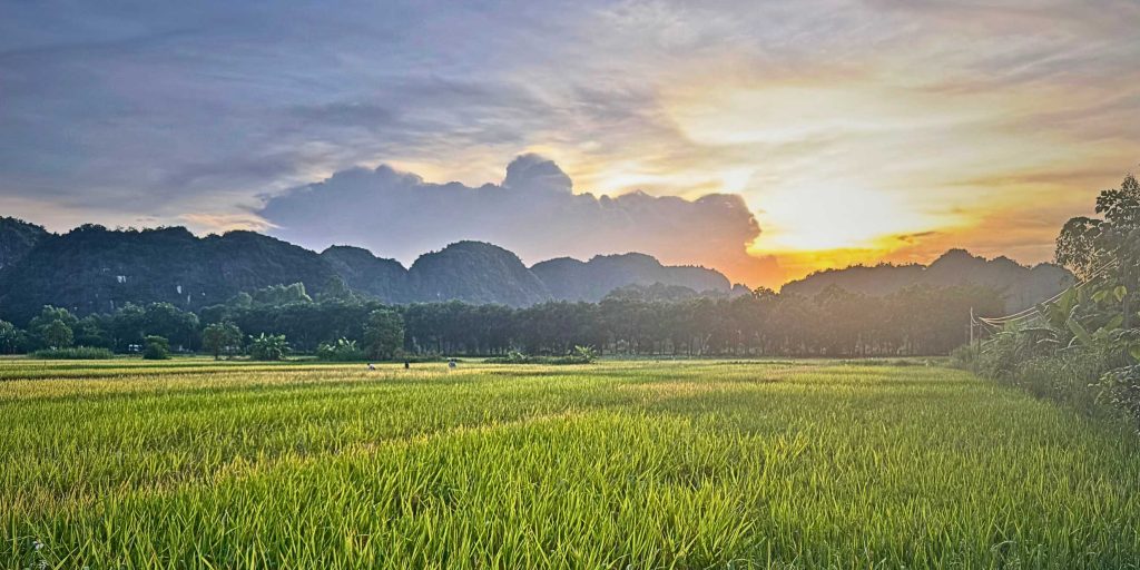 What is the best way to invest your savings?